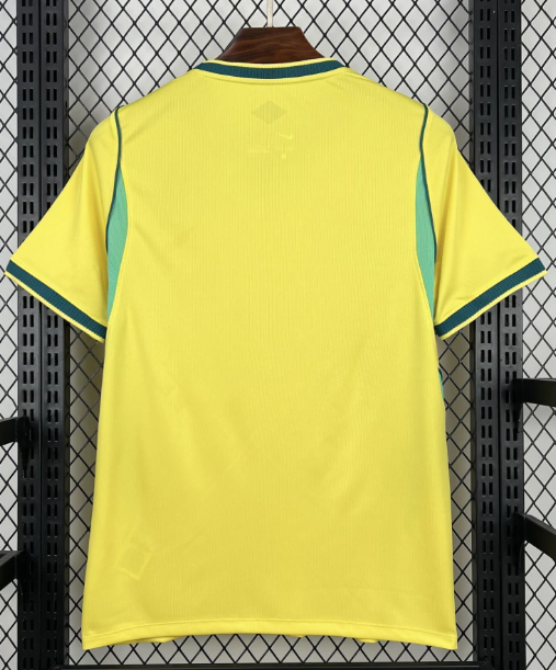 Camisa do Brasil torcedor 25/26