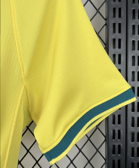 Camisa do Brasil torcedor 25/26